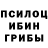 Псилоцибиновые грибы прущие грибы Andrew Sykalo