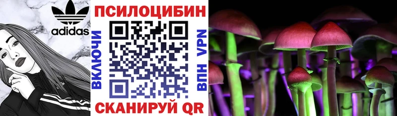 купить  цена  Энем  Галлюциногенные грибы ЛСД 